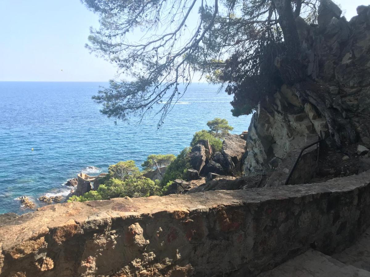 Ingrid Costa Brava *